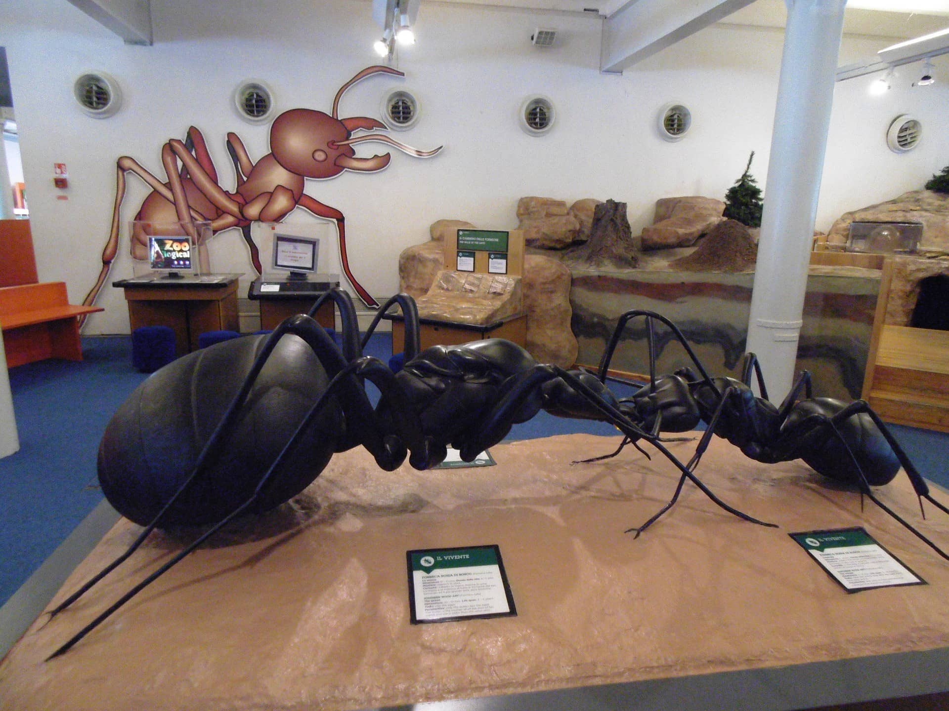 A massive ant sculpture on display at museum