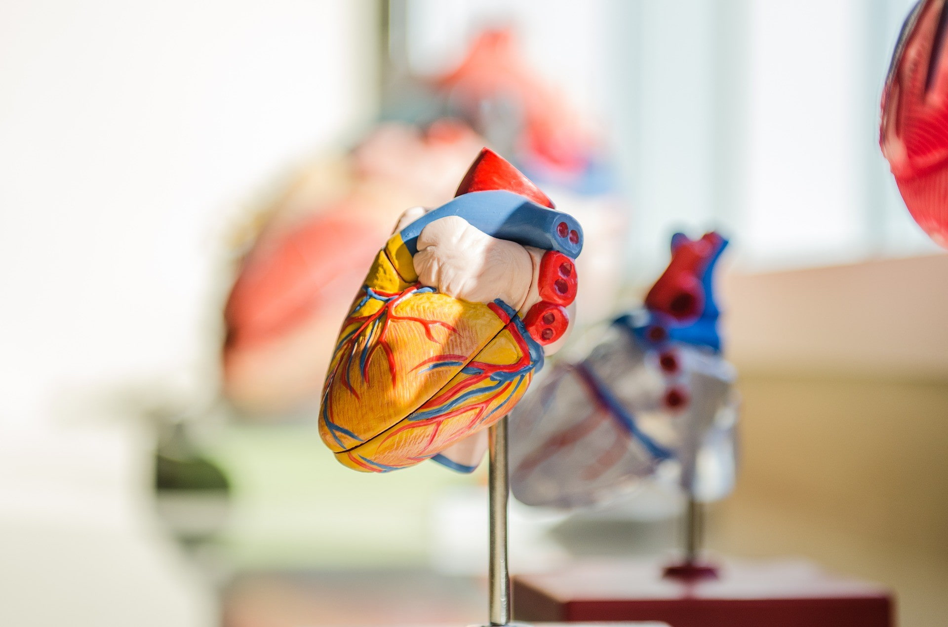 The image shows a couple of colorful glass heart. It is an indoor art piece displayed on at art gallery.