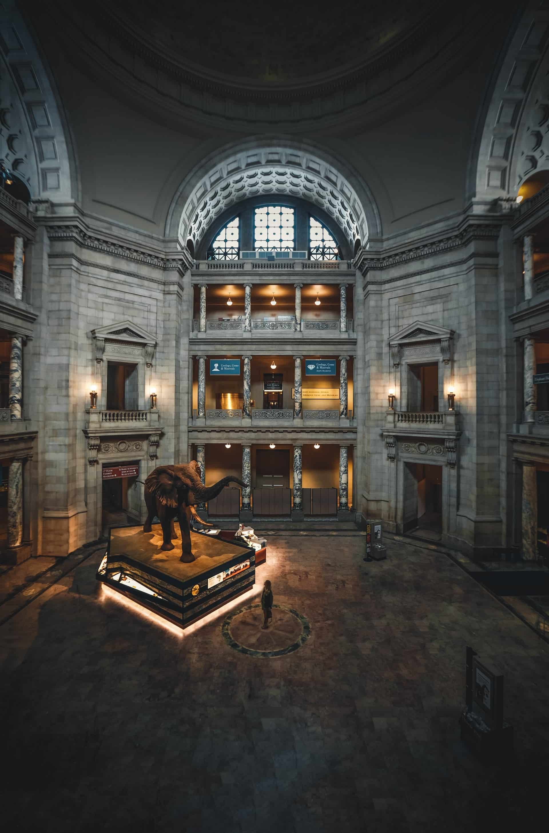 Museum interior featuring elephant sculpture